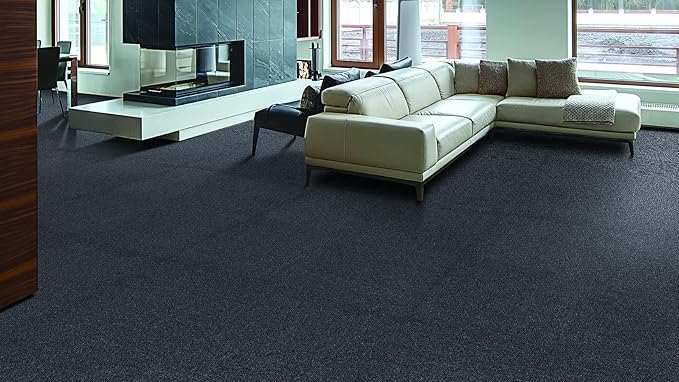 Mohawk Advance 24" x 24" Berber (Loop pile), 0.11" Pile Height, Carpet Tile, Nylon Fiber, Black Color, (24 Tiles), (96 sqft/carton)