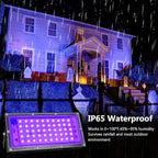 2 Pack 50W Black Lights, Blacklight Flood Light with Plug and Switch,for Glow Party, Halloween, Fluorescent Poster, Body Paint
