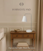 HarvestLand Steady Silver Reading Lamps for Bedside Table – Adjustable Industrial Table Lamp with Solid Base, Lamp for nightstand, Desk Lamp Home Office, Mid Century Modern Reading Lamp Style