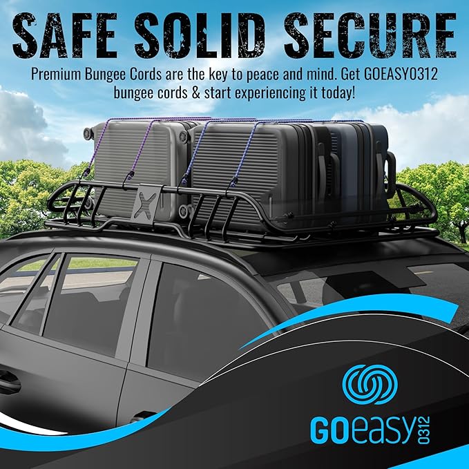 GOEASY0312 Premium Bungee Cords Heavy Duty - 20 pcs Bungee Cords with Hooks in A Storage Jar Includes 10", 18", 24", 30", 36", 48" Bungie Cord Bundle