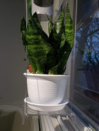 Hanging Acrylic Shelves for Windows (22" Wide, 4 Shelves - 55" Tall)
