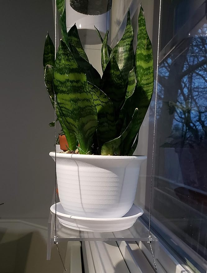 Hanging Acrylic Shelves for Windows (22" Wide, 1 Shelf - 26" Tall)