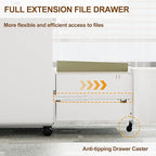 2 Drawer File Cabinet with Lock and 4 Keys, Mobile Metal Filing Cabinet, File Cabinets for Home Office, Under Desk, Pre-Assembly, File Drawer, Letter/Legal/A4 Hanging File Folders