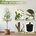 2 Pack Artificial Olive Tree 6FT, Tall Faux Olive Trees for Indoor Outdoor, Realistic Potted Plant Natural Wood Trunk, Leaves and Fruits for Home Office Decor (2, 6FT)