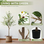 2 Pack Artificial Olive Tree 5FT, Tall Faux Olive Trees for Indoor Outdoor, Realistic Potted Plant Natural Wood Trunk, Leaves and Fruits for Home Office Decor (2, 5FT)
