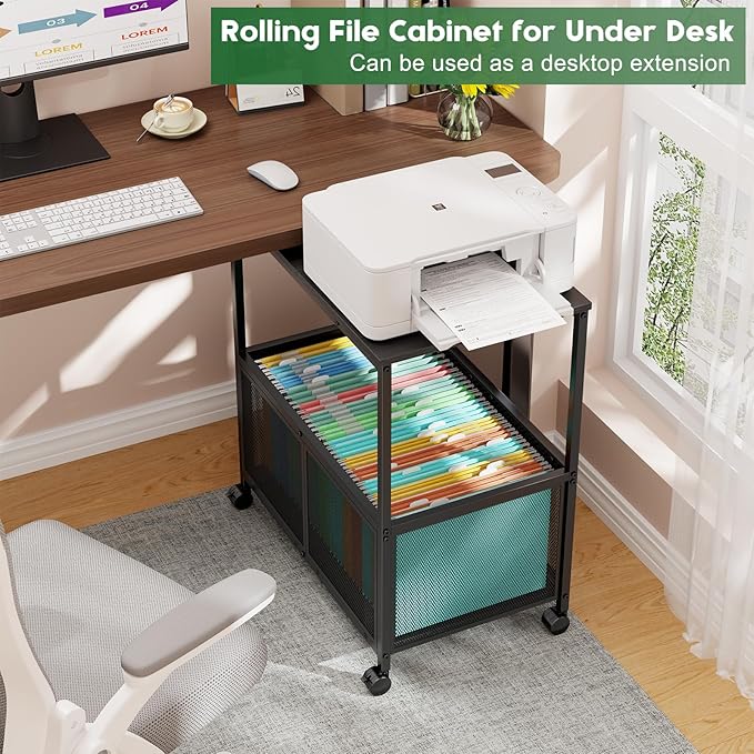 Rolling File Cart, Mobile File Cabinet with Wheels Hanging Files, Filing Cabinet Organizer Printer Stand File Organizer Fit Letter Size for Home Office, Black
