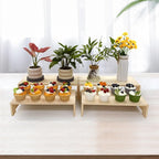 Display Riser Wood Risers Cupcake Stand 2 Tier Racks Decorative Rectangular, 2 Set 4 Pieces Cologne Perfume Organizer Dessert for Vendors Event