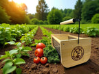 Personalzied Harvest Garden Basket, Handmade Solid Wood Construction with Rotatable Handle, Wire Mesh Design, 16x9x7 Inches, Multi-Purpose Vegetable and Fruit Harvesting Hod Custom Name