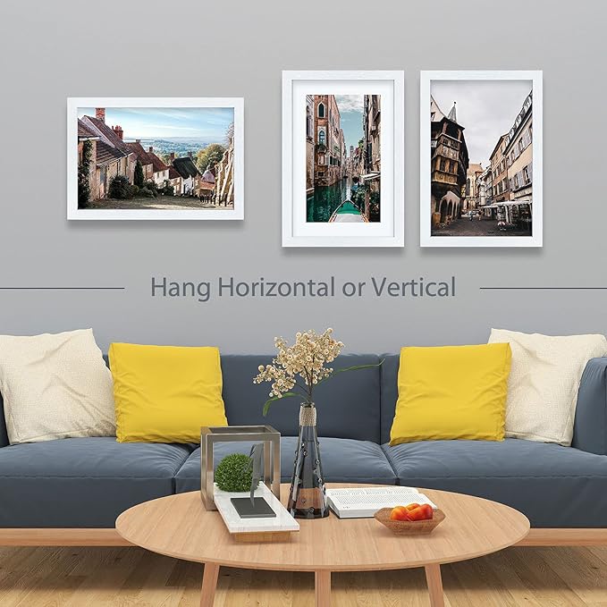 VCK 13 by 19 Poster Frame in White with Polished Plexiglass Set of 5 Horizontal and Vertical Formats with Included Hanging Hardware