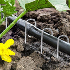 J Hook Rebar Stakes 12 Inch, Ground Stakes for Camping Tent Heavy Duty 10 Pack Rust Proof Coated Metal for Flower Gardens Landscape Fabric Pins Dog Fence