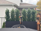 THE BLOOM TIMES 4ft Topiary Trees Artificial Outdoor Set of 2, UV Resistant Faux Cedar Pine Cypress Bushes & Shrubs, Fake Plants for Front Porch Outside Planter Patio Christmas Decor 4 Foot Tall