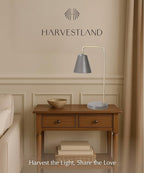 HarvestLand Steady Silver Reading Lamps for Bedside Table – Adjustable Industrial Table Lamp with Solid Base, Lamp for nightstand, Desk Lamp Home Office, Mid Century Modern Reading Lamp Style