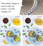 Photo Studio Box, PULUZ 40cm Folding Lightbox 160 LED Ring Light Portable Photo Studio Photography Shooting Tent Box Kit 12 Colors Backdrops USB Light Box for Phones DSLR Camera 16 x 16 inch