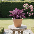 Artificial Flowers for Outdoors Artificial Agave Fake Plants Faux Agave Artificial Plants Outdoor Fake Flowers Outdoor Faux Plants Indoor Uv Resistant Artificial Plants 12In(Purple，2pcs)