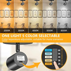 VANoopee 5-Color Ceiling Spotlight Flush Mount Adjustable Directional LED Spot Lights Indoor Dimmable Ceiling Light Fixture for Accent Art Picture Living Room - CRI90+ 24° Flicker Free 10W 800lm Black