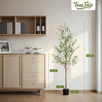Artificial Olive Tree 6FT, Tall Faux Olive Trees for Indoor Outdoor, Realistic Potted Plant Natural Wood Trunk, Leaves and Fruits for Home Office Decor (1, 6FT)