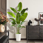 Bird of Paradise Artificial Plant, 6FT Faux Plants Indoor Banana Leaf Tree with 10 Leaves, Large Fake Tropical Potted Indoor Silk Floor Plant with White Tall Planter for House,Office,Room,Home Decor