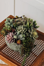 Artificial Succulent Plants Fake Assorted - 16 Pack - Unpotted Face Succulent Plants - Realistic Textured Succulents Picks - Fake Plants for Decoration - Faux Aloe Cactus Plant Bulk