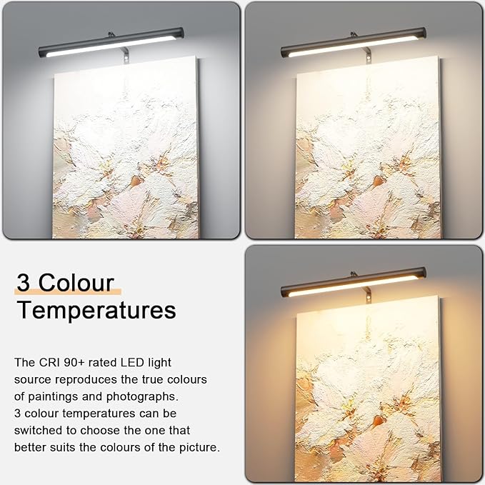 Picture Lights for Paintings Plug in, 16" Adjustable LED Picture Light Art Light with Timer, Remote Control Gallery Painting Wall Light for Picture Display Frame Dartboard Art Work (Black)