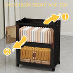 Storage Bins with Lids and Wheels, 199QT-99.5QT*2Tier Collapsible Bathroom Storage Cabinet with Clear Doors, Plastic Stackable Closet Organizers and Containers Black