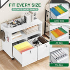 Metal File Cabinet,2 Drawer Lateral Filing Cabinet with Lock,Rolling Printer Stand Storage Cabinets with Shelves for Home Office Letter/Legal/A4 Size Files(White)