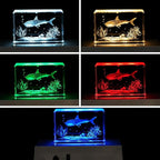 EUSTUMA LED Light Base Rectangle Display Stand In A Variety of Colors,Lighted Up Stand Color Changing Small LED for 3D Glass Crystal Art,Holiday Party Decoration. (Silver, Medium)