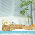 VATIMA Hyacinth Wicker Basket Set 3 size - Rectangular, Wooden Handles, Shelf Organizer, Natural Bins