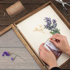 TJ.MOREE Shadow Box Display Case 11 x 14 Shadowbox Frame with Linen Back Memorabilia Bouquet Medals Photos Memory Box for Keepsakes