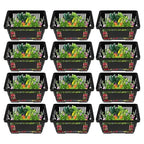 12Pcs Shopping Baskets with Handles, 21L Durable Plastic Shopping Basket, 22Lbs Load-Bearing Capacity, Stackable Portable Grocery Basket for Supermarket, Retail Shop, Bookstores (Black,16.9"X9"X11.8")