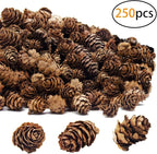 Deloky 250 PCS Christmas Natural Mini Pine Cones-Thanksgiving Pinecones Ornaments for DIY Crafts, Home Decorations,Fall and Christmas,Wedding Decor