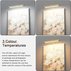 4W Picture Light Plug in, 12" Adjustable LED Art Light with Remote Control, Dimmable Wall Light for Picture Display Dartboard Art Work (Gold)