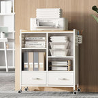 TOOLF 2-Drawer Mobile File Cabinet with Wheels, MDF Wooden Panel Printer Stand with Adjustable Shelves, 2 Storage Bins & 4 Hooks, Home Office Organization, White
