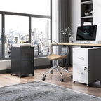 2 Drawer Mobile File Cabinet with Lock and Wheels, Small Vertical Under Desk Steel Rolling Storage Cabinet for Home Office Legal/Letter/A4 Files, Assembly Required (Black)