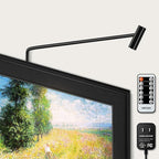 LED Picture Light Plug in 120V Art Light with Remote & Timer, Dimmable Picture Frame Light for Paintings, 3000K CRI 90 Picture Lights for Wall Display Portrait Gallery, Brass Body Painted Black