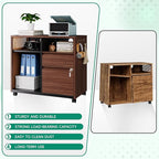 Letaya Mobile 2 Drawer File Cabinet with Lock, Metal Lateral Printer Stand Filing Storage Cabinets with Shelves for Home Office-A4/F4/Letter