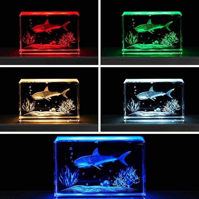 EUSTUMA LED Light Base Rectangle Display Stand In A Variety of Colors,Lighted Up Stand Color Changing Small LED for 3D Glass Crystal Art,Holiday Party Decoration. (Black, Large)