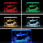 EUSTUMA LED Light Base Rectangle Display Stand In A Variety of Colors,Lighted Up Stand Color Changing Small LED for 3D Glass Crystal Art,Holiday Party Decoration. (Silver, Large)