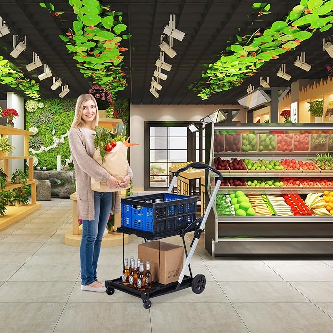 Foldable Shopping Cart with 2 Storage Crates – 2-Tier Collapsible Utility Cart, Aluminum Trolley with 360° Rolling Swivel Wheels & Removable Baskets for Groceries, Office, Travel, Apartment