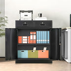 Metal Storage Cabinet, 36" H Locking Storage Cabinet with 2 Drawers and Adjustable Shelf, Metal Cabinets for Office, Garage, Home-Black