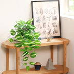 Artificial Devil's Ivy Golden Pothos Fake Plant,Hanging Potted Plants for Wall Home Patio Indoor Outdoor Decor(H 26in)