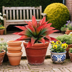 Artificial Agave Faux Agave Fake Greenery Outdoor Artificial Plants Fake Plants 28" for Indoor Home Decor Plastic Plants Outdoor Decor Front Porch Decor Simulation Plants(Red) 2pcs No Vase