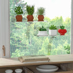 Clear Acrylic Windows Plant Shelves, 12 Inch Window Plant Stand with Legs, No Need Drilling Indoor Windows Suction Cup Shelf Wall Shelf for Plants, Home Décor, Toiletries(2 Pack)