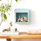 Primitives by Kathy Seashell Holder - Coastal Decor, Glass Display, Treasure Chest, Room and Bedroom Decor