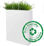 BagDream Kraft Paper Bags 13x7x17 50Pcs White Gift Bags with Handles Bulk Large for Shopping, Party Favors, Retail, Merchandise, Grocery Recyclable Paper Sacks
