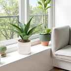 Artificial Potted Plants, 13.8" Artificial Succulent Fake Aloe, Large Faux Aloe Plant in Pot for Home Office Room Badroom Garden Decor (Grey)