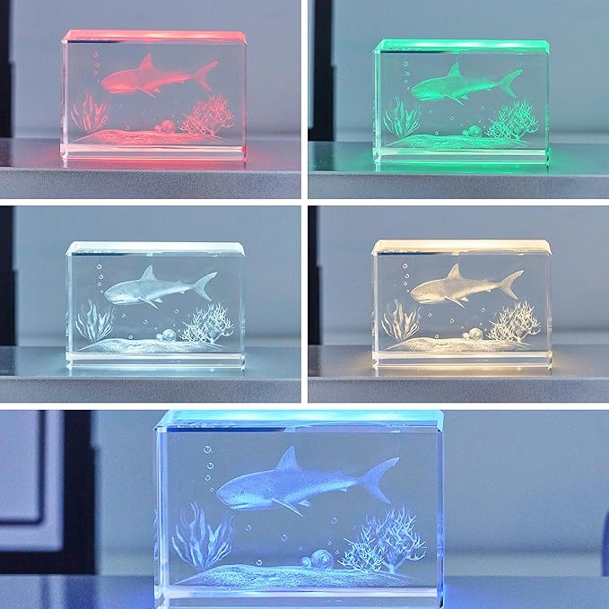 EUSTUMA LED Light Base Rectangle Display Stand In A Variety of Colors,Lighted Up Stand Color Changing Small LED for 3D Glass Crystal Art,Holiday Party Decoration. (Black, Medium)