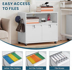 MIIIKO File Cabinet with Storage 2 Drawers, Rolling File Cabinet for Home Office, Metal White 2 Drawers Storage with Shelf, for Printer, Letter A4 File Organizer