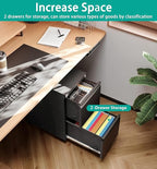 SISESOL 2 Drawer File Cabinet on Wheels,Metal Filing Cabinet with Lock,Black Rolling File Cabinets with Casters,Under Desk Office Cabinets for Home Office,Fit A4/Letter/Legal,Easy Assembly