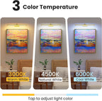 24" Picture Lights for Wall with 8000mAh Battery - Brass Operated Wireless Wall Art Light with Remote Control for Large Portrait & Paintings Art