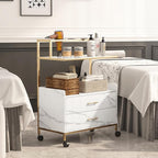 Salon Rolling Trolley with Lockable Wheels Barber Cart with Storage Drawer Mobile Hair Station Cabinet for Beauty Makeup Esthetician Spa Massage (White Marble-one Shelf-Two-Drawers)